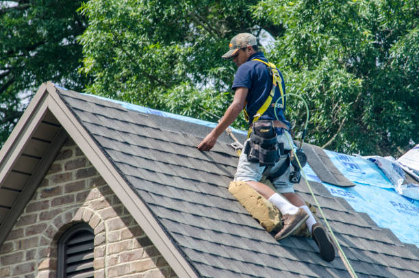Best Storm Damage Roof Repair  in Onarga, IL